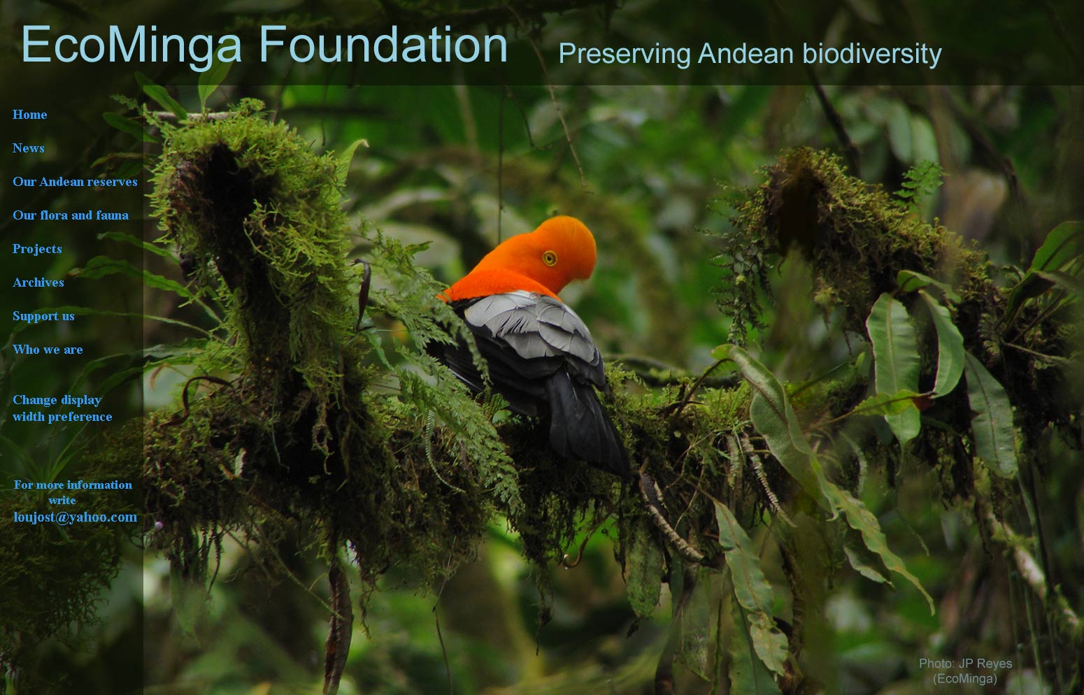EcoMinga Foundation: Preserving Andean biodiversity